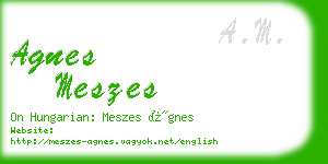 agnes meszes business card
